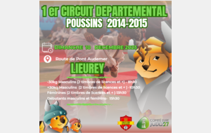 1ER CIRCUIT DEPARTEMENTAL POUSSINS 2014- 2015 DIMANCHE 10 DECEMBRE A LIEUREY 