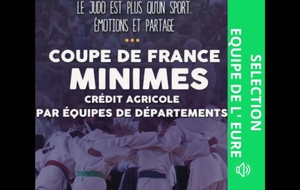 COUPE DE FRANCE MINIMES PAR EQUIPES DE DEPARTEMENTS 